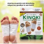 10 Pcs Detox Foot Pads for Pain Relief & Wellness