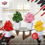 4 Pcs Planter Set