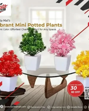 4 Pcs Planter Set