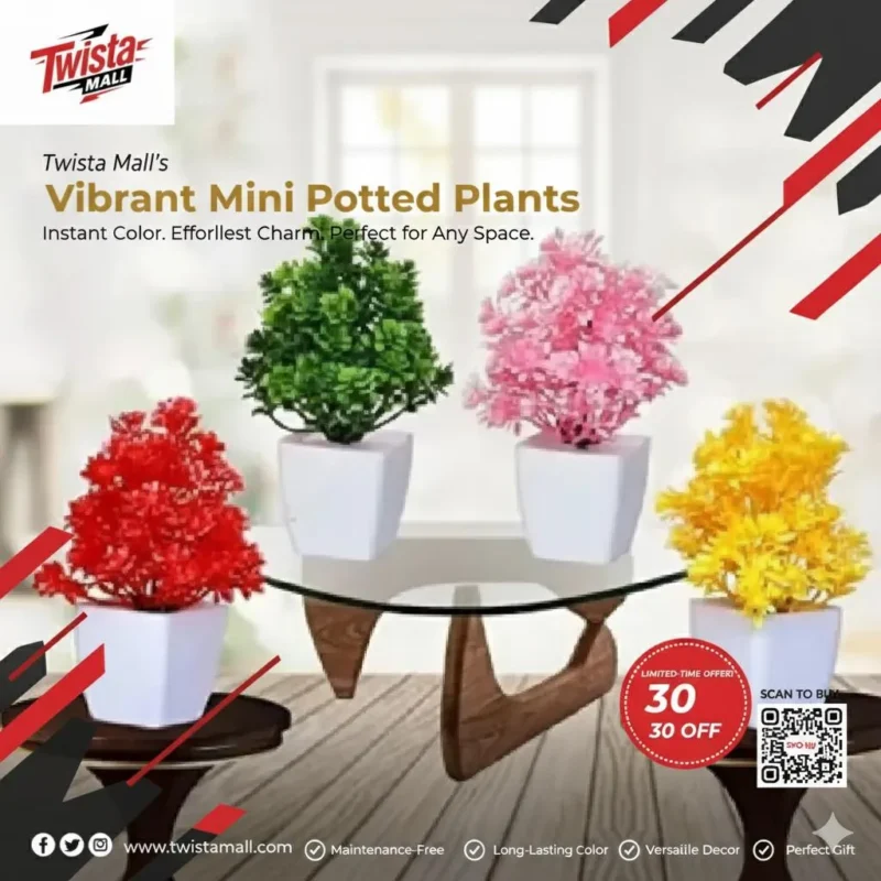 4 Pcs Planter Set 4 Pcs Planter Set