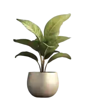 Artificial Plants & Flowers
