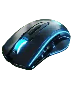 Computer Accessories