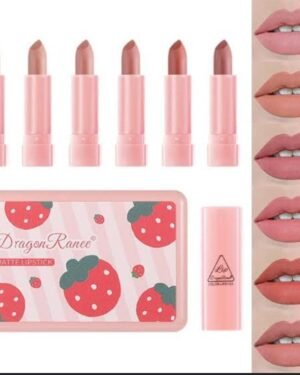 Dragon Ranee 6 Pcs Matte Lipstick Set Cool Undertones