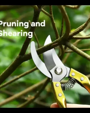Gardening Scissor