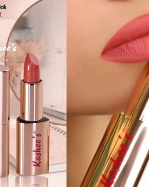 Multicolor Velvet Matte Lipstick 2 Pcs Pakistani Bridal Party Wear