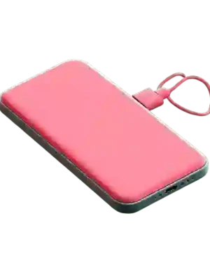 Power Banks
