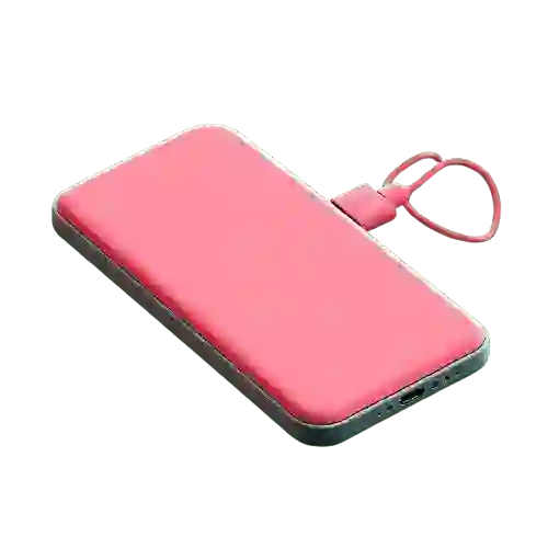 Power Banks