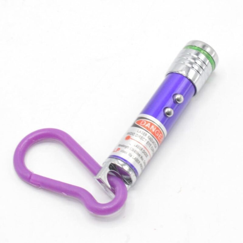 Rechargeable Mini Keychain Light Purple Silver 4Pcs