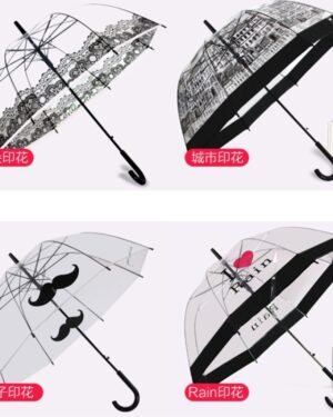 Transparent Umbrella with Print Designs Long Handle