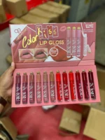 Vibrant Multicolor Lip Gloss Set 12 Pcs Bold Coverage