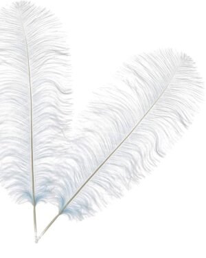 White Ostrich Feathers 2Pcs 6-8Inch Arts Craft