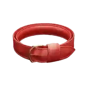 Women's Belt